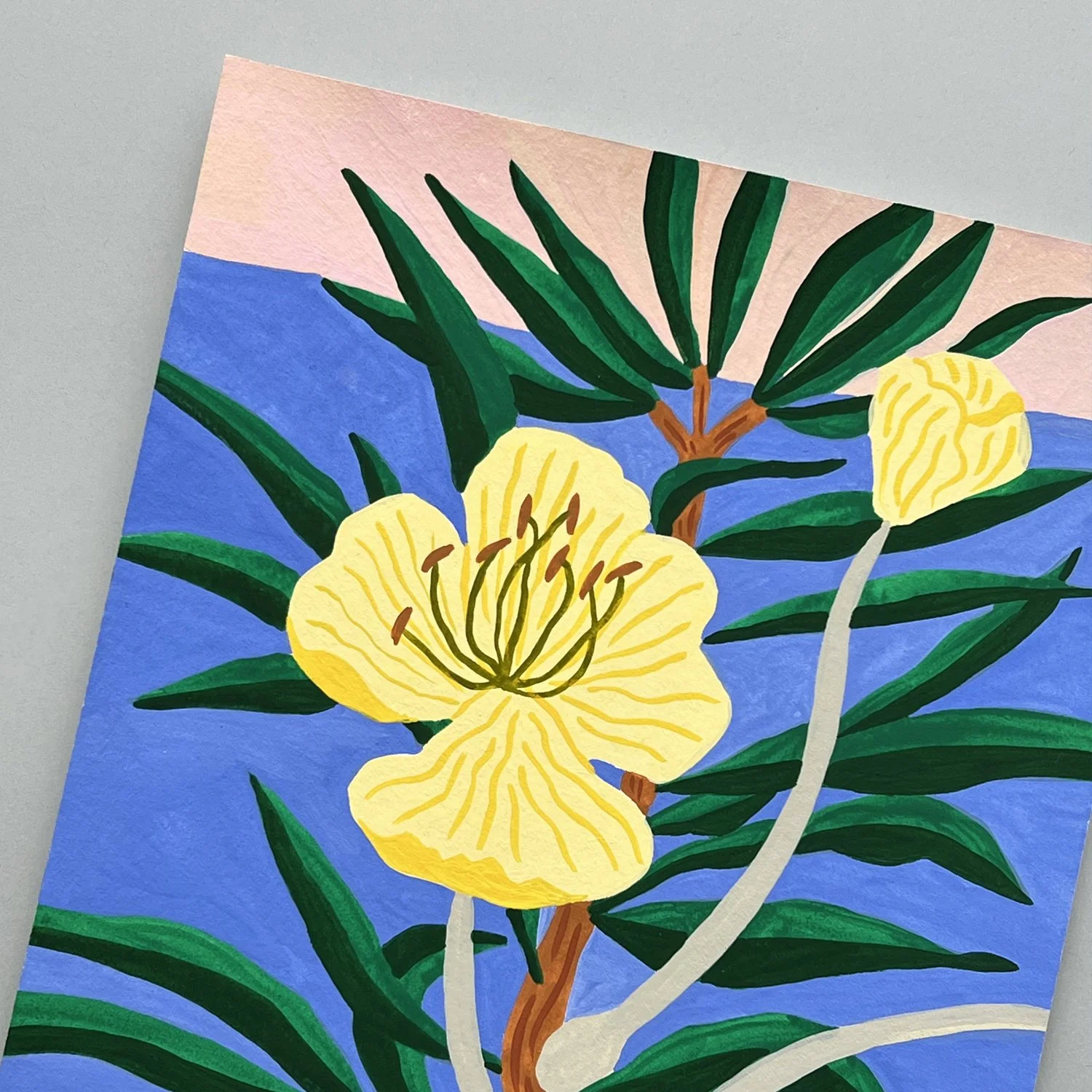 Bodil-Jane-Gouache-Flower4.jpg