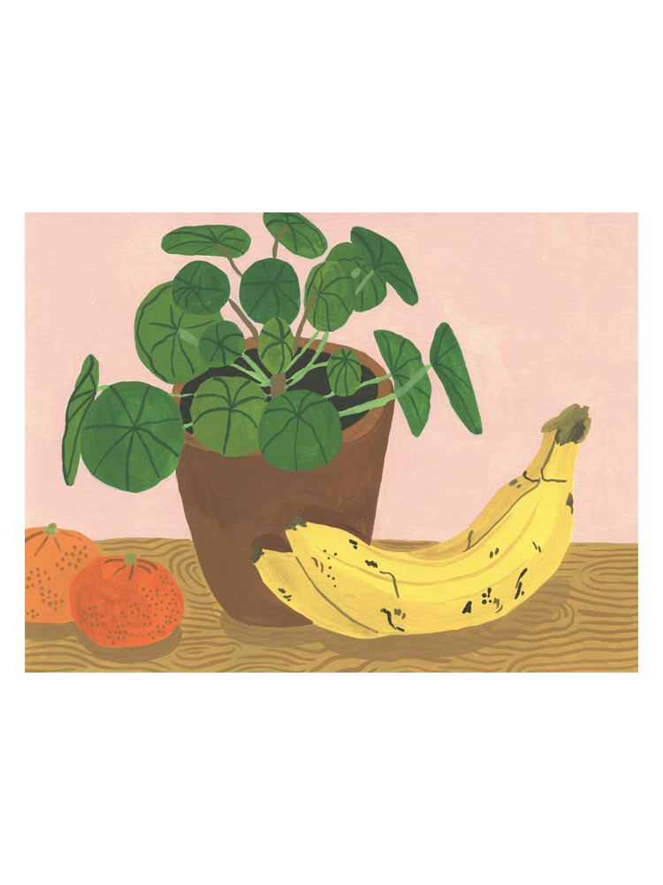 Bodil-Jane-Still-Life-Banana.png