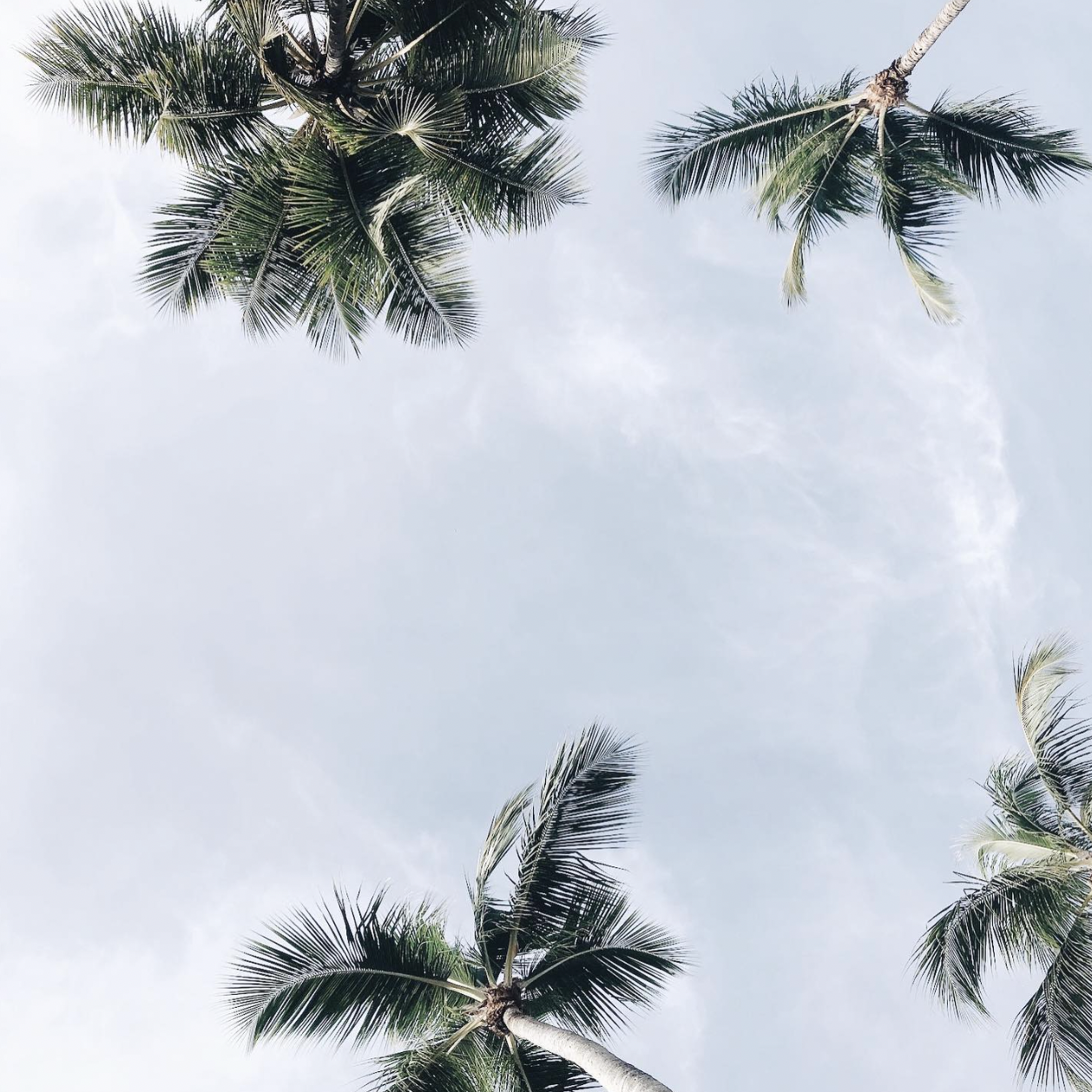 Screen Shot 2024-03-21 at 7.14.47 PM.png