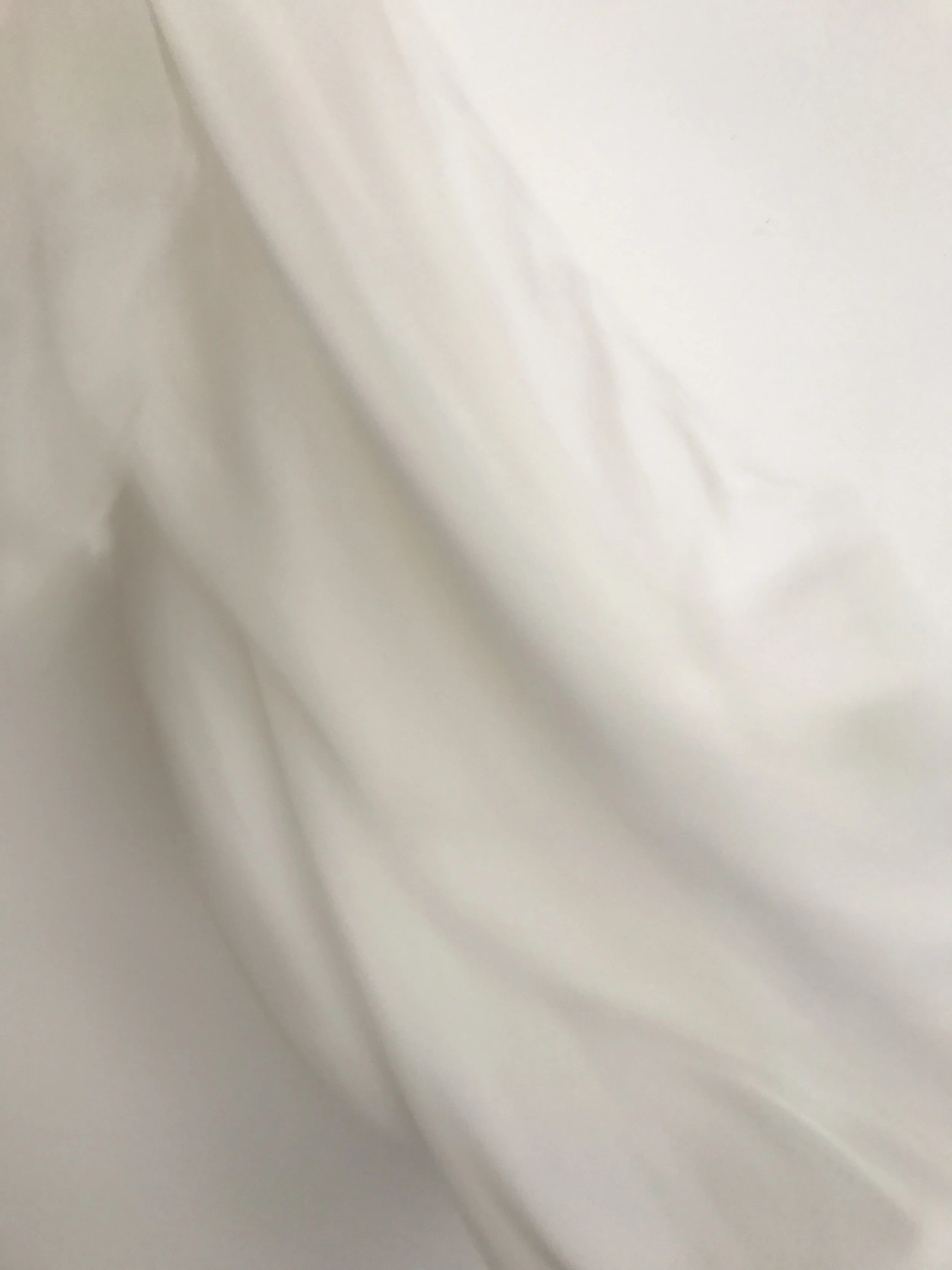  The intention of my work is to make art that lifts us from the everyday.  