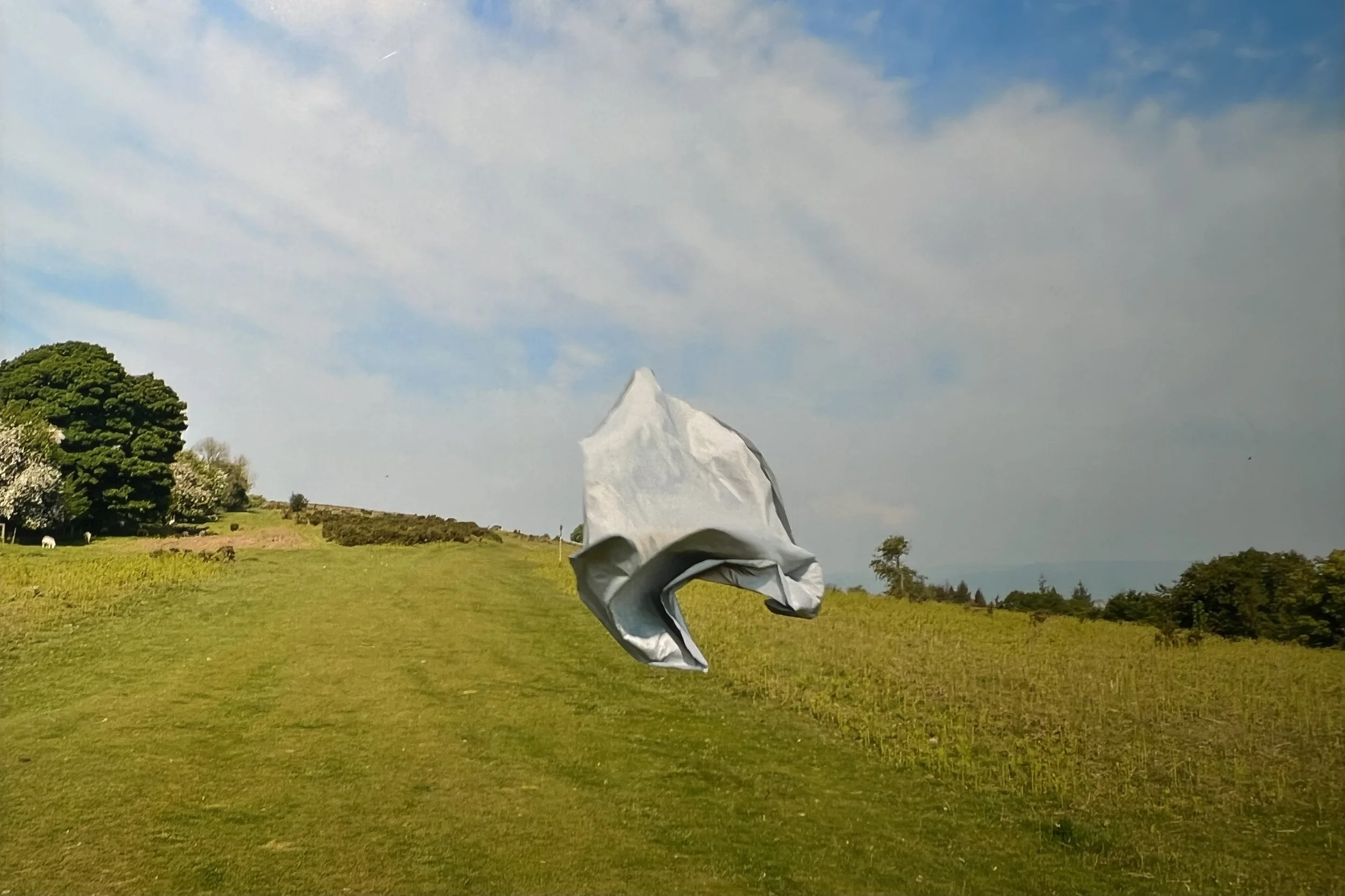 Just Visiting this Planet III, 2025