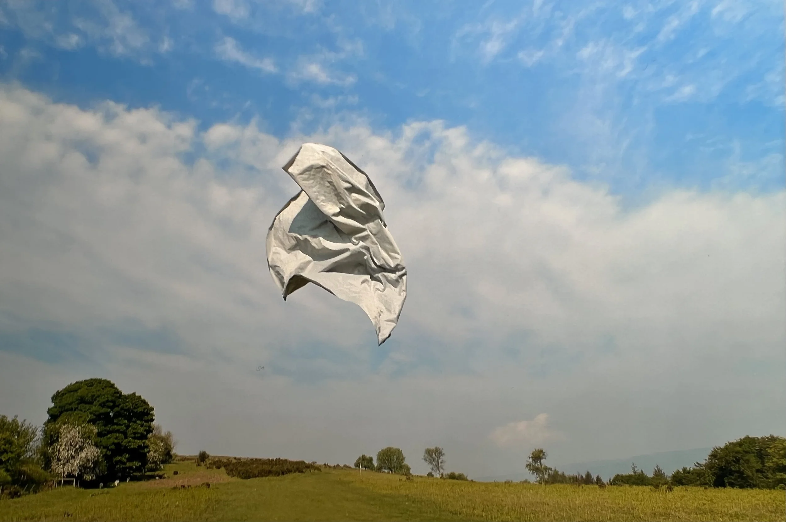 Just Visiting this Planet VI, 2025