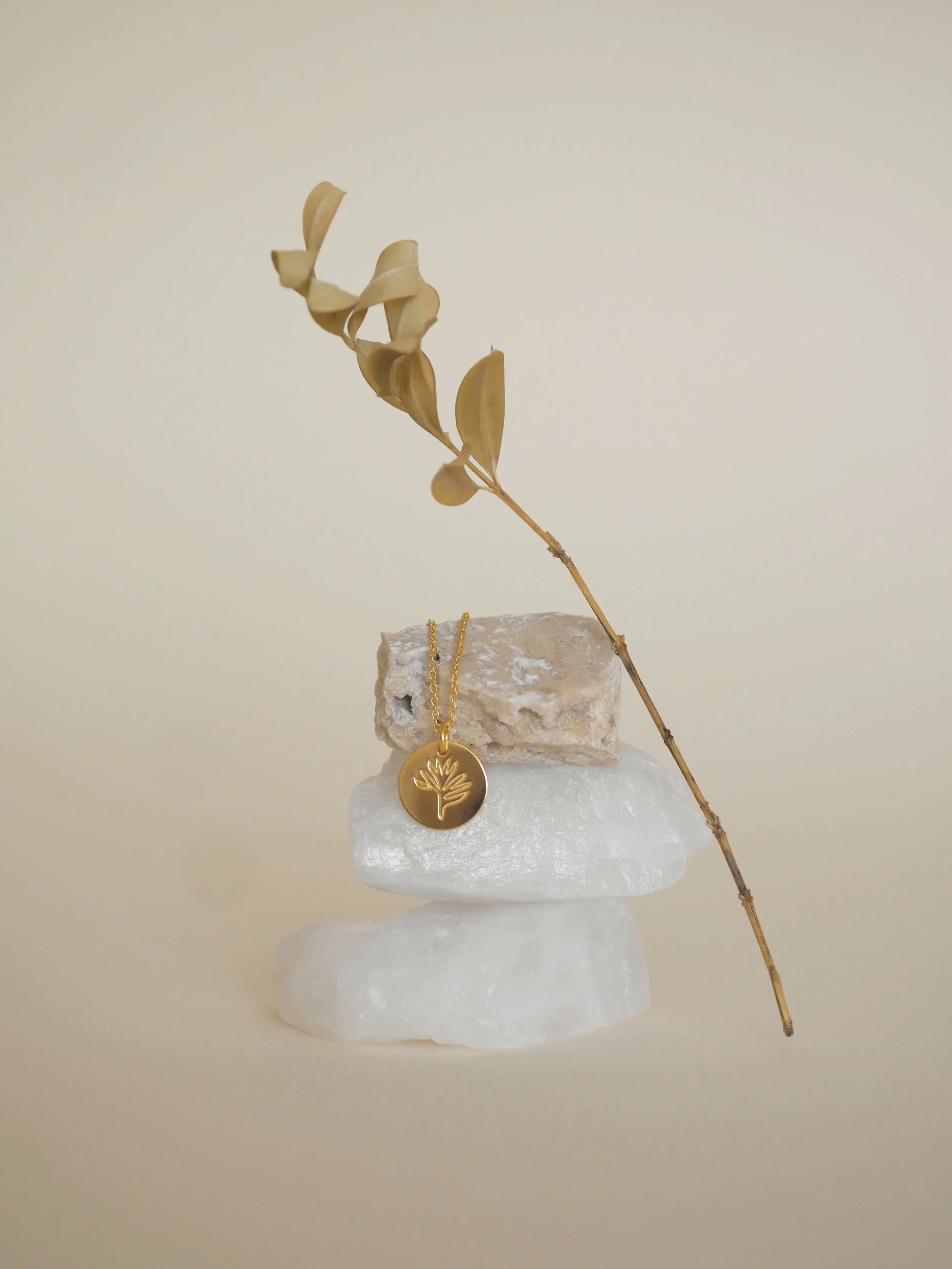 TOA SS 2022 1_004.JPG