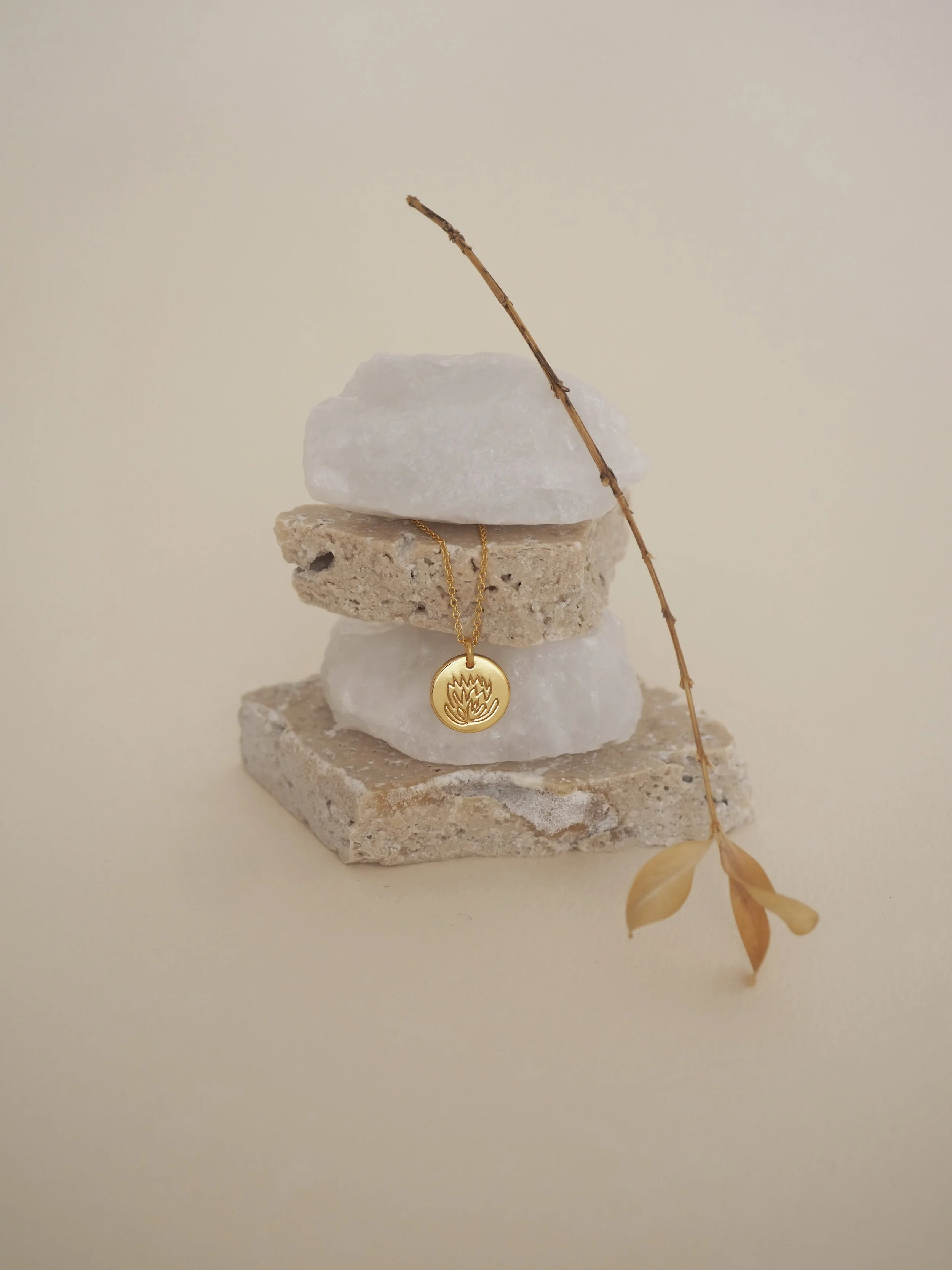 TOA SS 2022 1_005.JPG