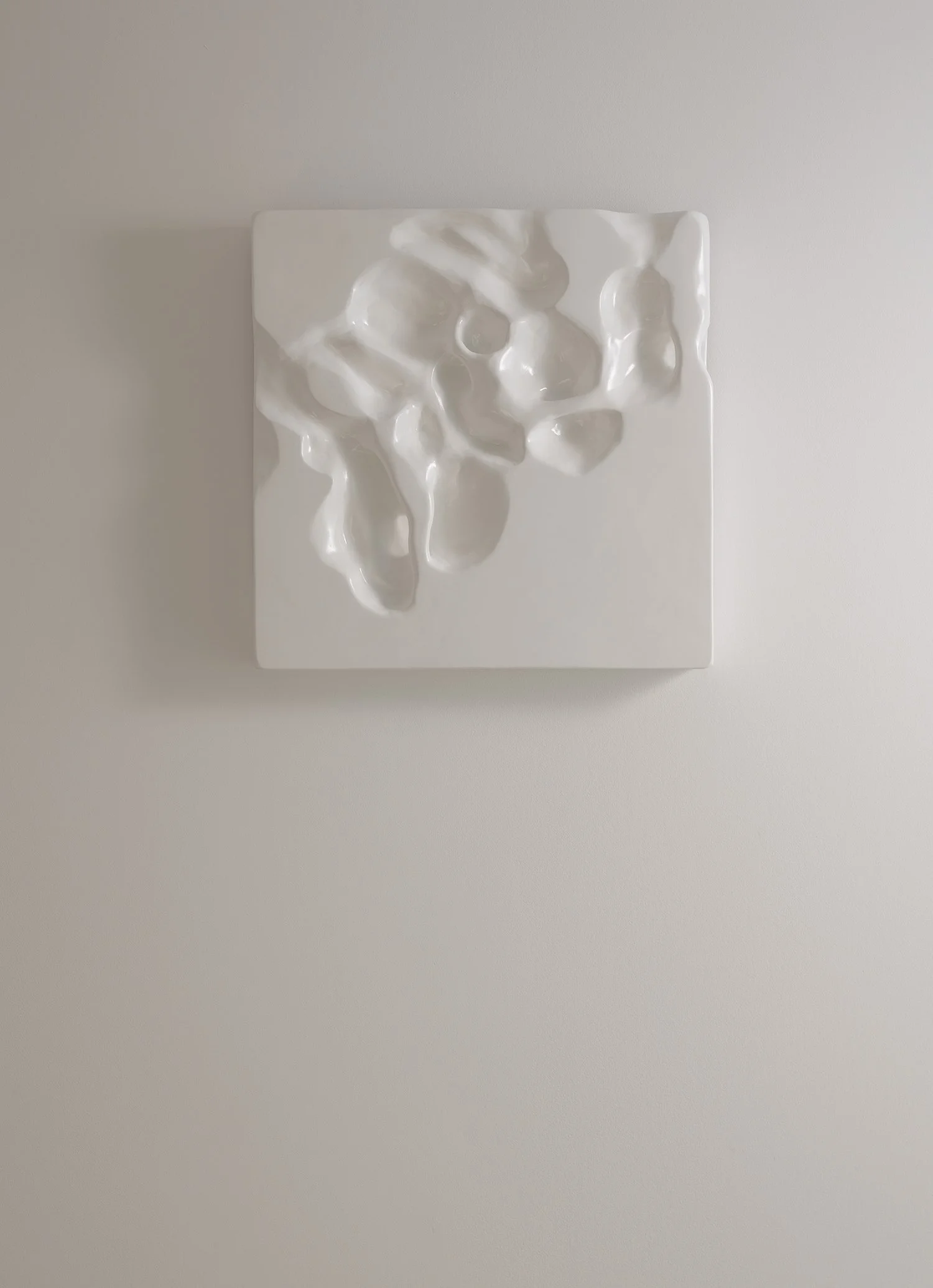 High-relief square wall art sculpture made from recycled plastic, featuring smooth, white organic shapes.