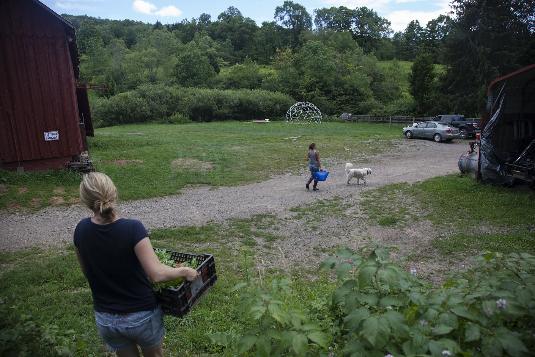  Their slogan "Let your family free-range," caters largely to urban families seeking a rural retreat. Guests are invited to help with farm chores and to pick their own produce.  