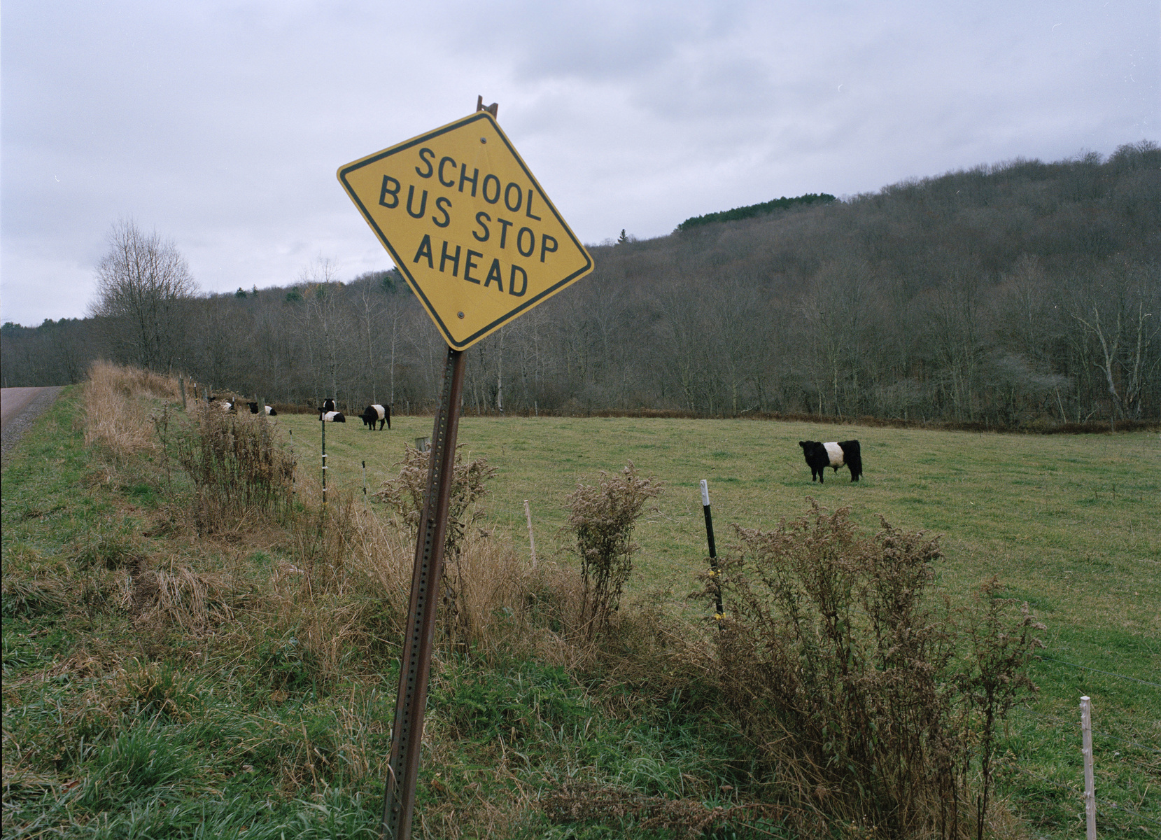 Many of their families have been here for hundreds of years, but these young farmers are inheriting a very different atmosphere than that of their parents generation.