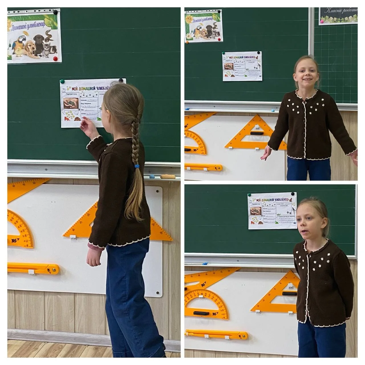 667776208_1532946112158008_5582118985005242516_n (1).jpg