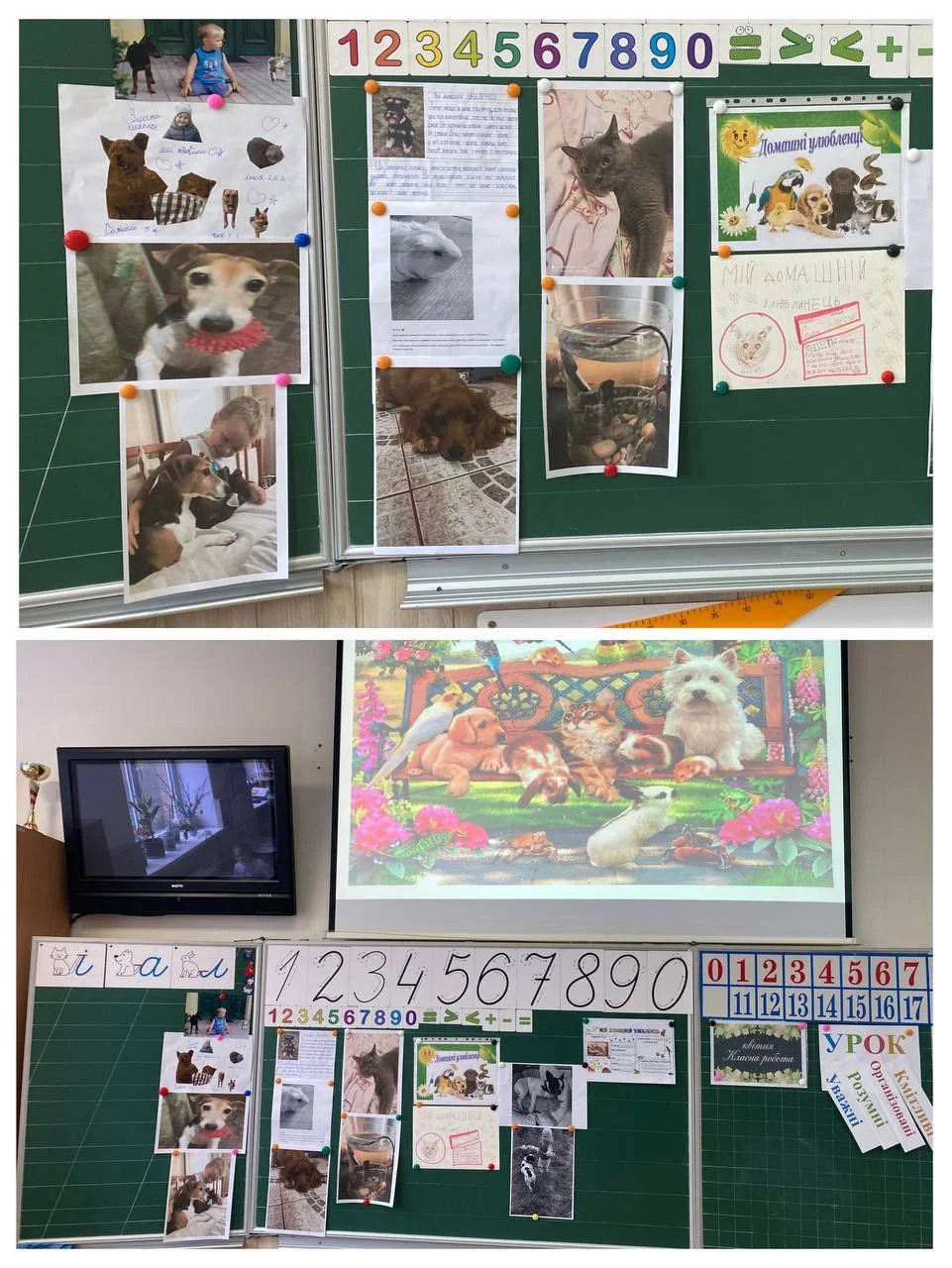 667807388_1532946085491344_7888315134036723926_n (1).jpg