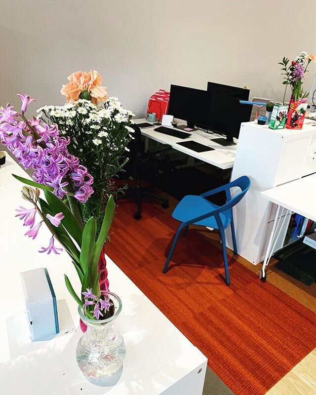 Our flowers have bloomed 🌸
Some cheerfulness on this cloudy day!