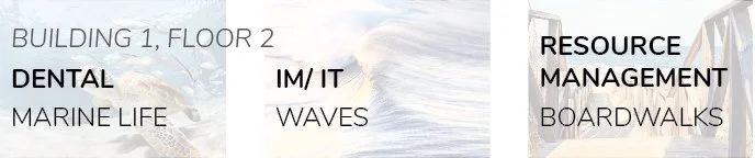 Building 1, Floor 2 | Dental (Marine Life), IM/IT (Waves), Resource Management (Boardwalks)