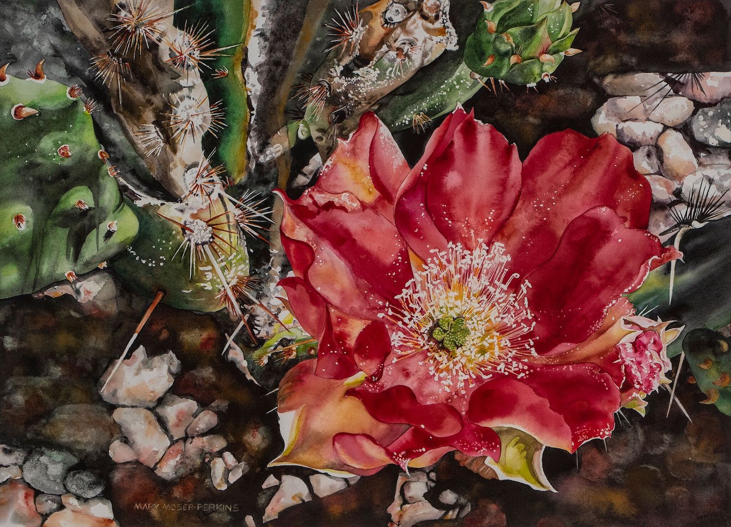 Backyard Surprise, 22 x 30, watercolor on paper