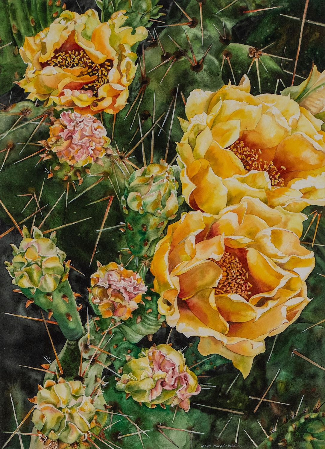 Prickly Pear, 30 x 21, watercolor on paper