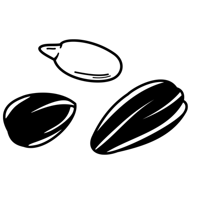 SELENIUM-with-Sunflower-Seeds---Food-Mood.png