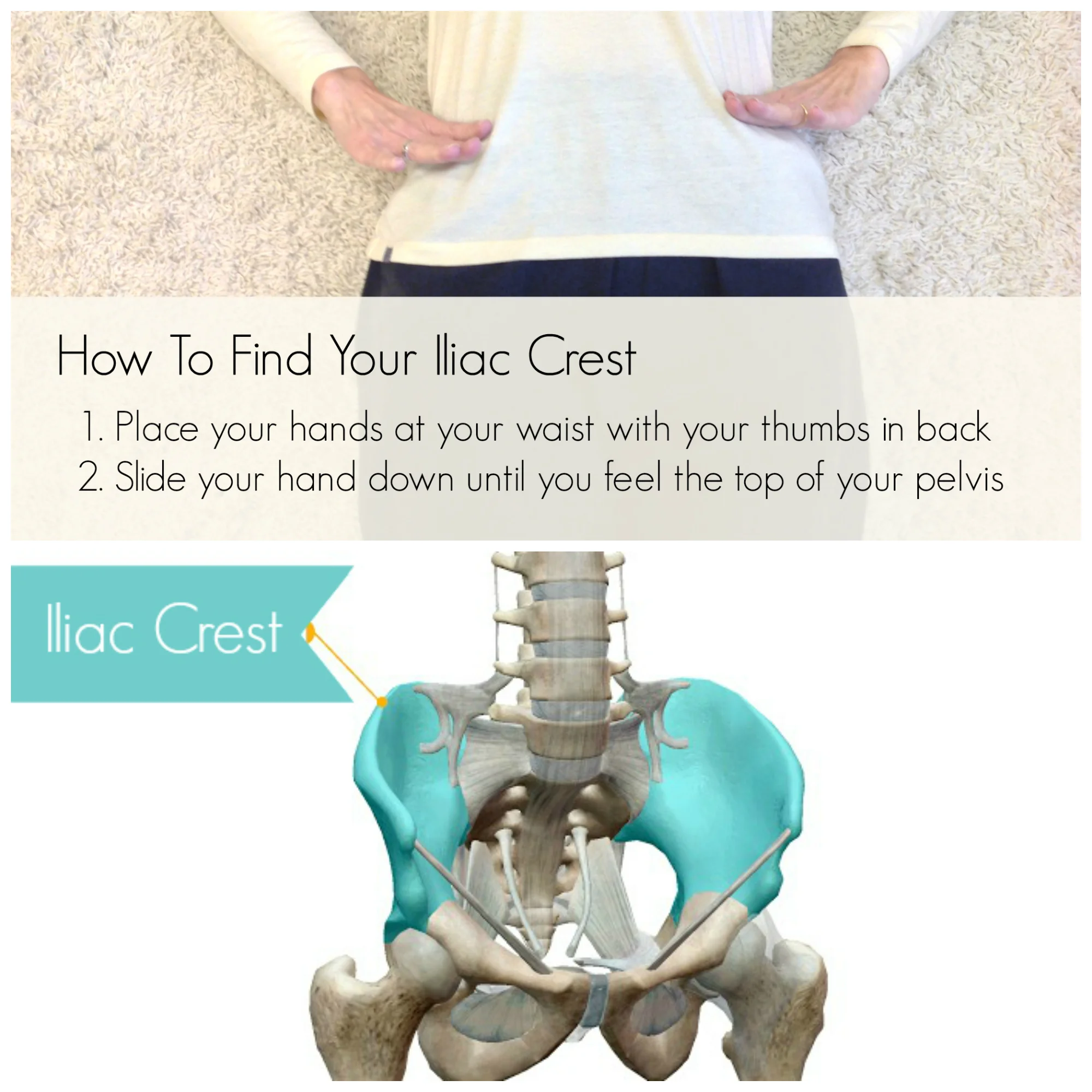 Find Your Iliac Crest Large.jpg