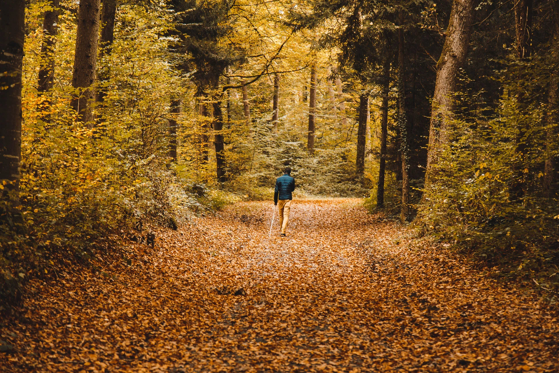 From-Trail-Troubles-to-Happy-Hiking.jpg
