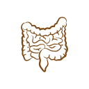 Intestine-Gut-Health.png