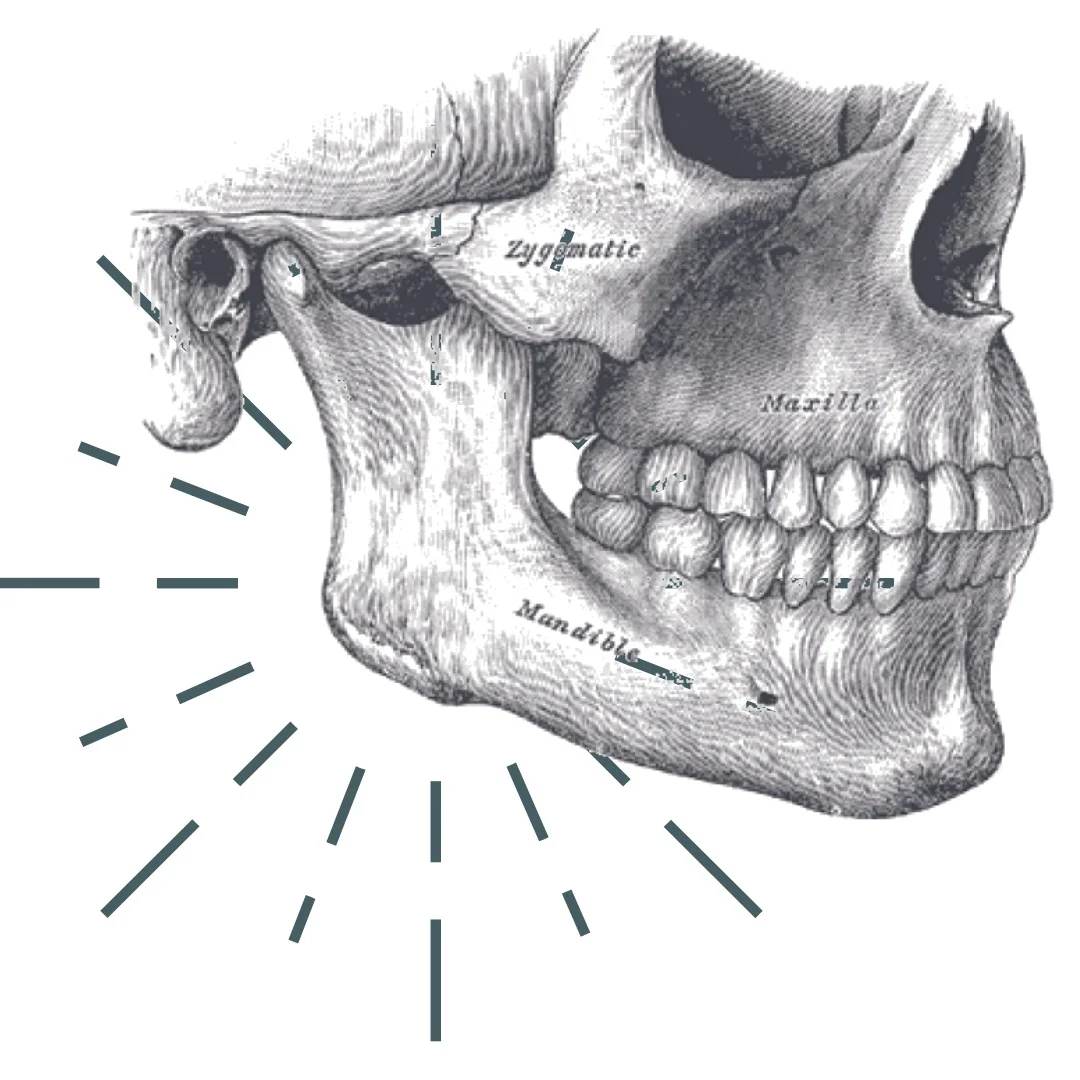 Image+Only+Finding+Ease+In+Your+Jaw.jpg