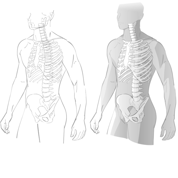 Copy of FOUNDATION For Moving Well Principles Of Movement Forces Bones -square.png