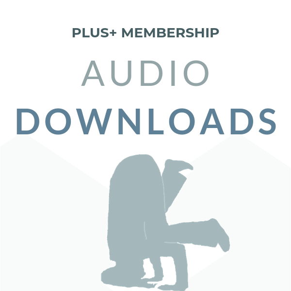 Audio Downloads.png