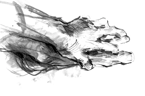 Awareness-Through-Movement-Membership-Hand-Foot.jpg