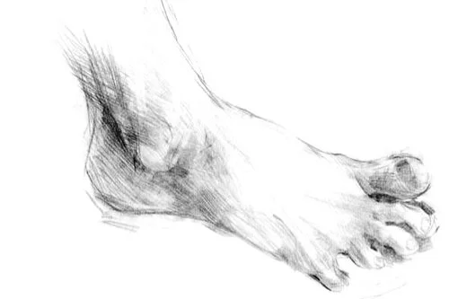 Awareness-Through-Movement-Membership.jpg