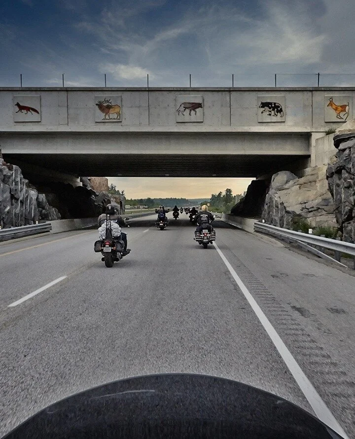 Respect The Road.⁠
⁠
That means riding in formation and not hogging the road.⁠
Respect for others, whether it be two wheels or four wheels, who are also using the road.⁠
&amp;⁠
Don't litter (one of my biggest pet peeves).⁠
⁠
#cruising #motolifestyle 