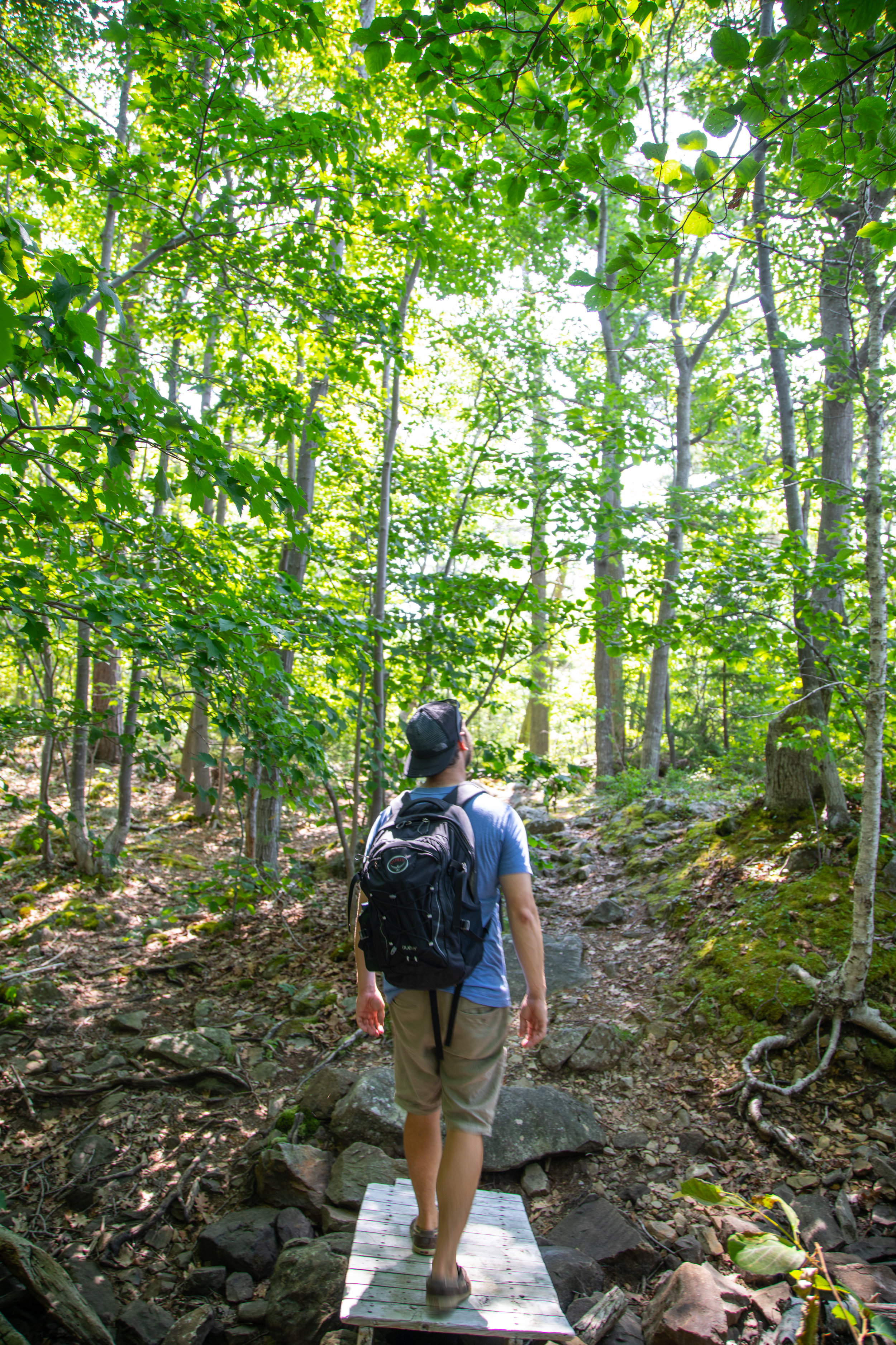 Halifax Wilderness Park-1.jpg