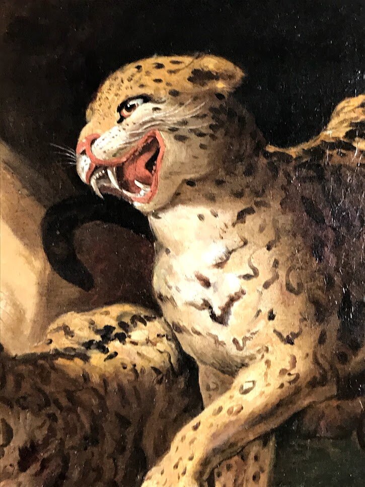 Leopard Close Up 1.jpg