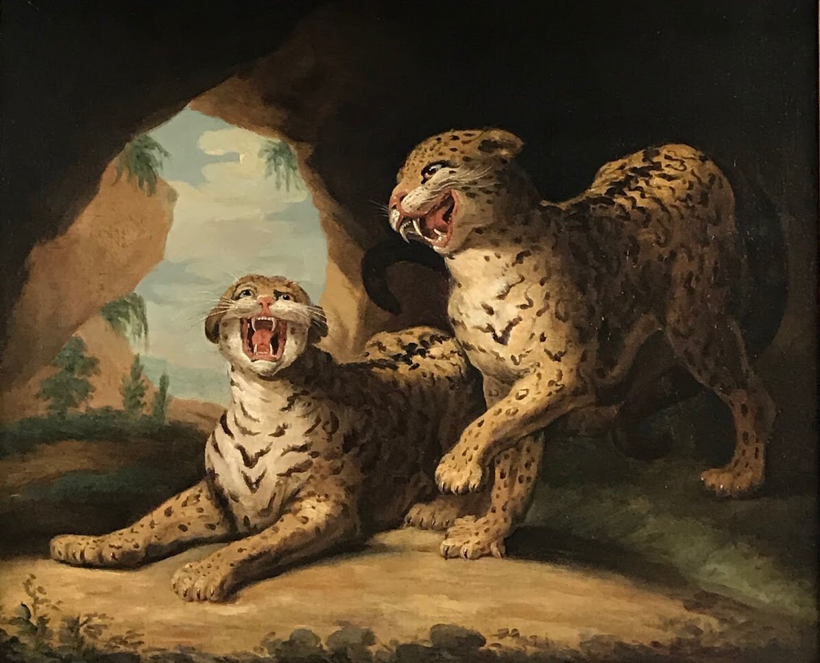 Unframed Leopards.jpg