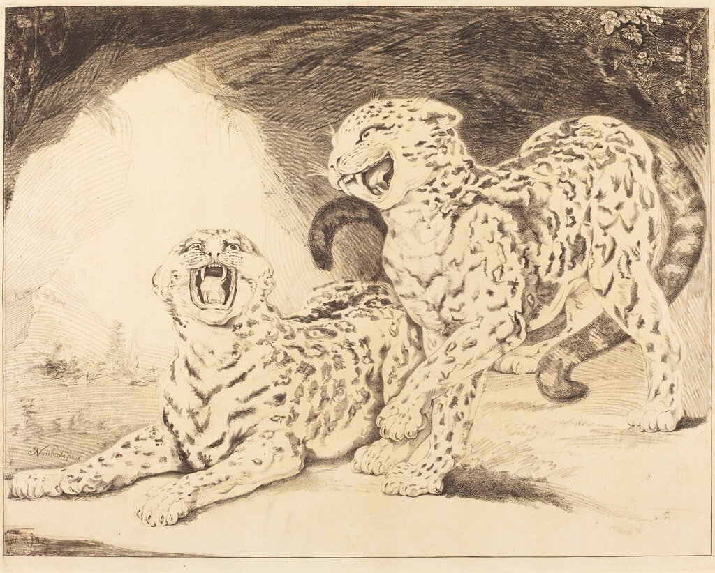 samuel-william-reynolds-i-after-james-northcote-leopards-1798 Nationl Muesum Washington.jpg