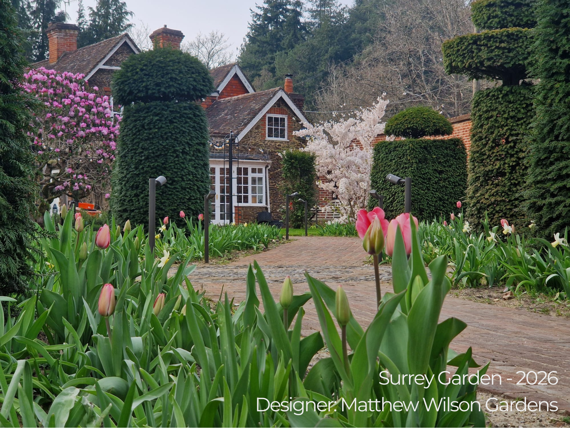 Mature garden in Surrey designed by Matthew Wilson Gardens