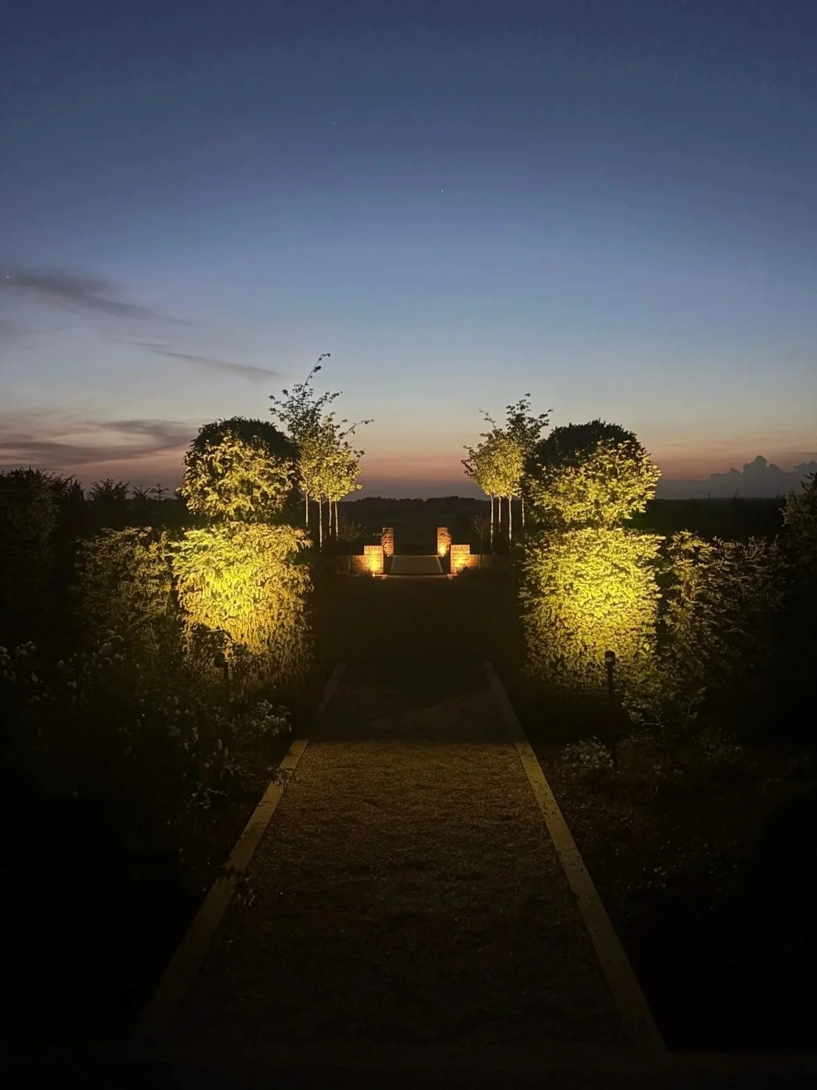 Mood lighting outdoors highlighting the plants