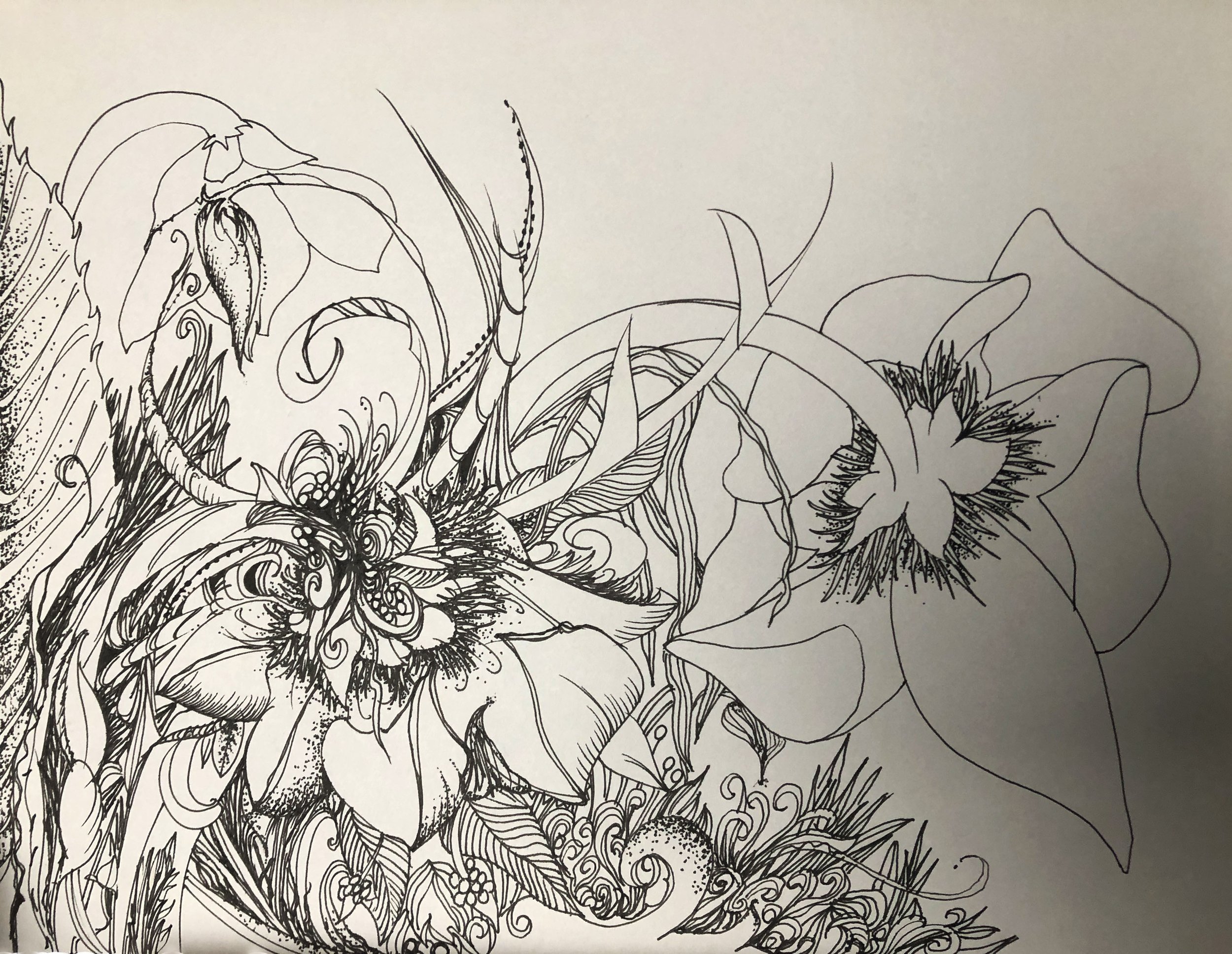 Amaryllis copy.jpg