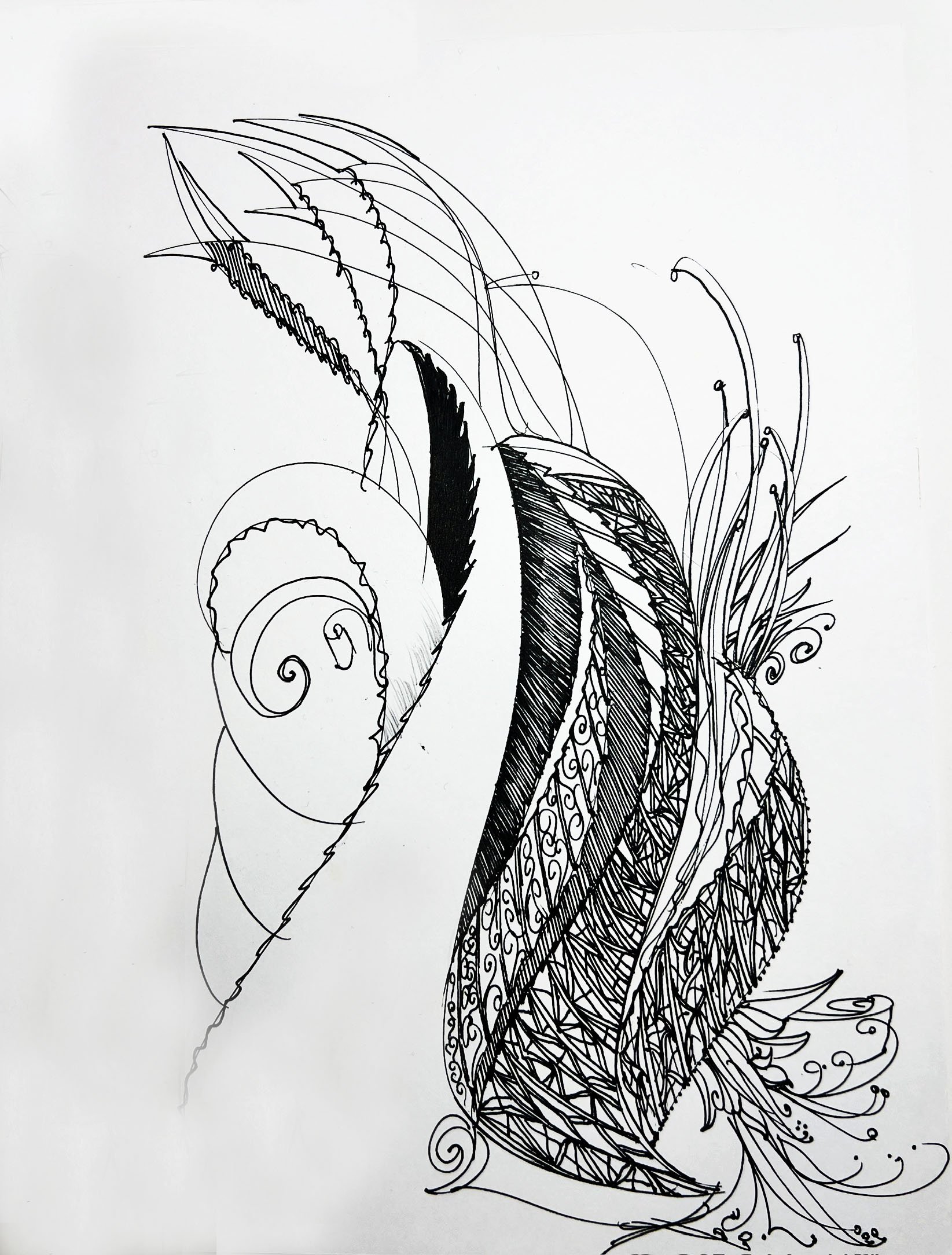 leaves copy.jpg