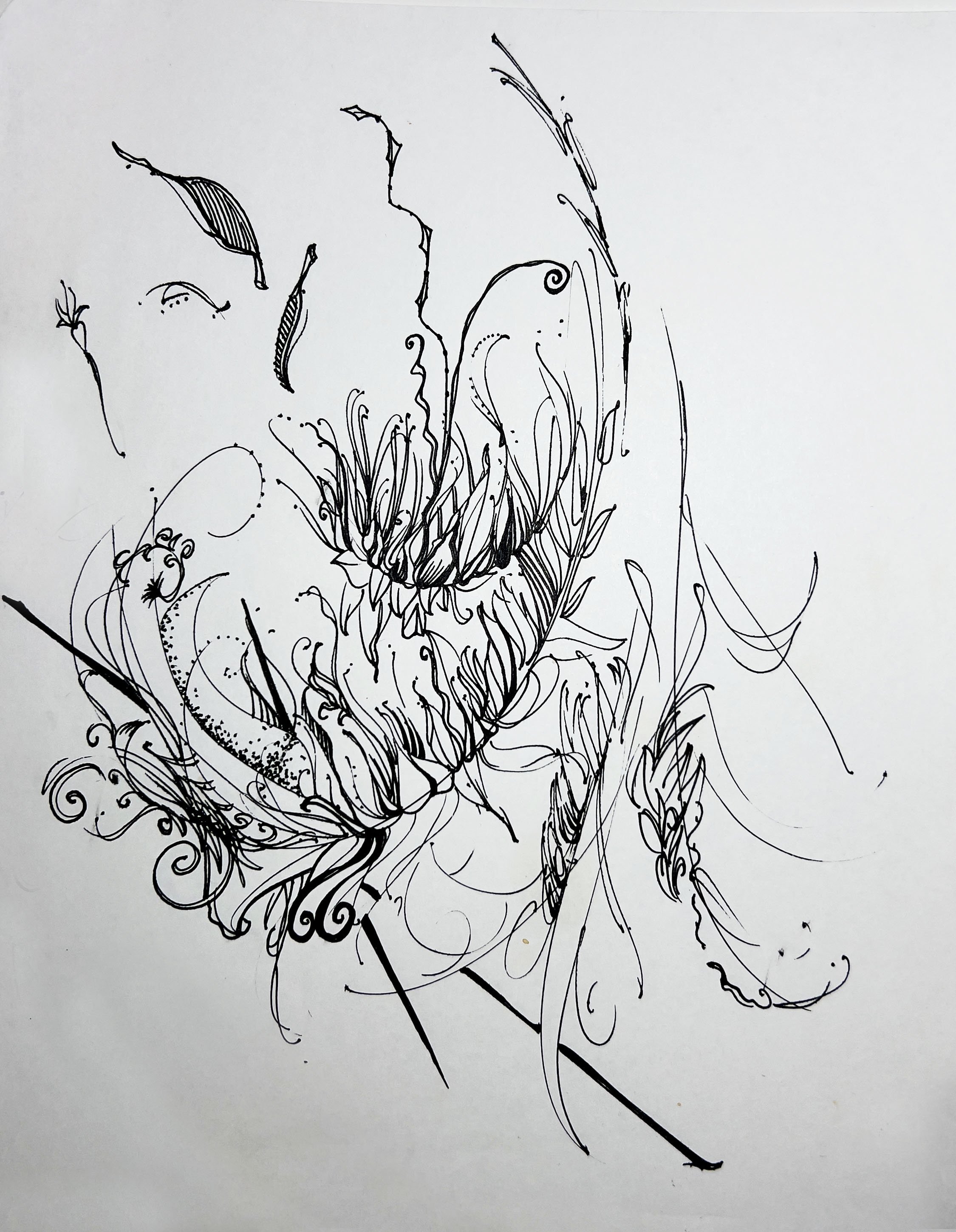 windworn copy.jpg