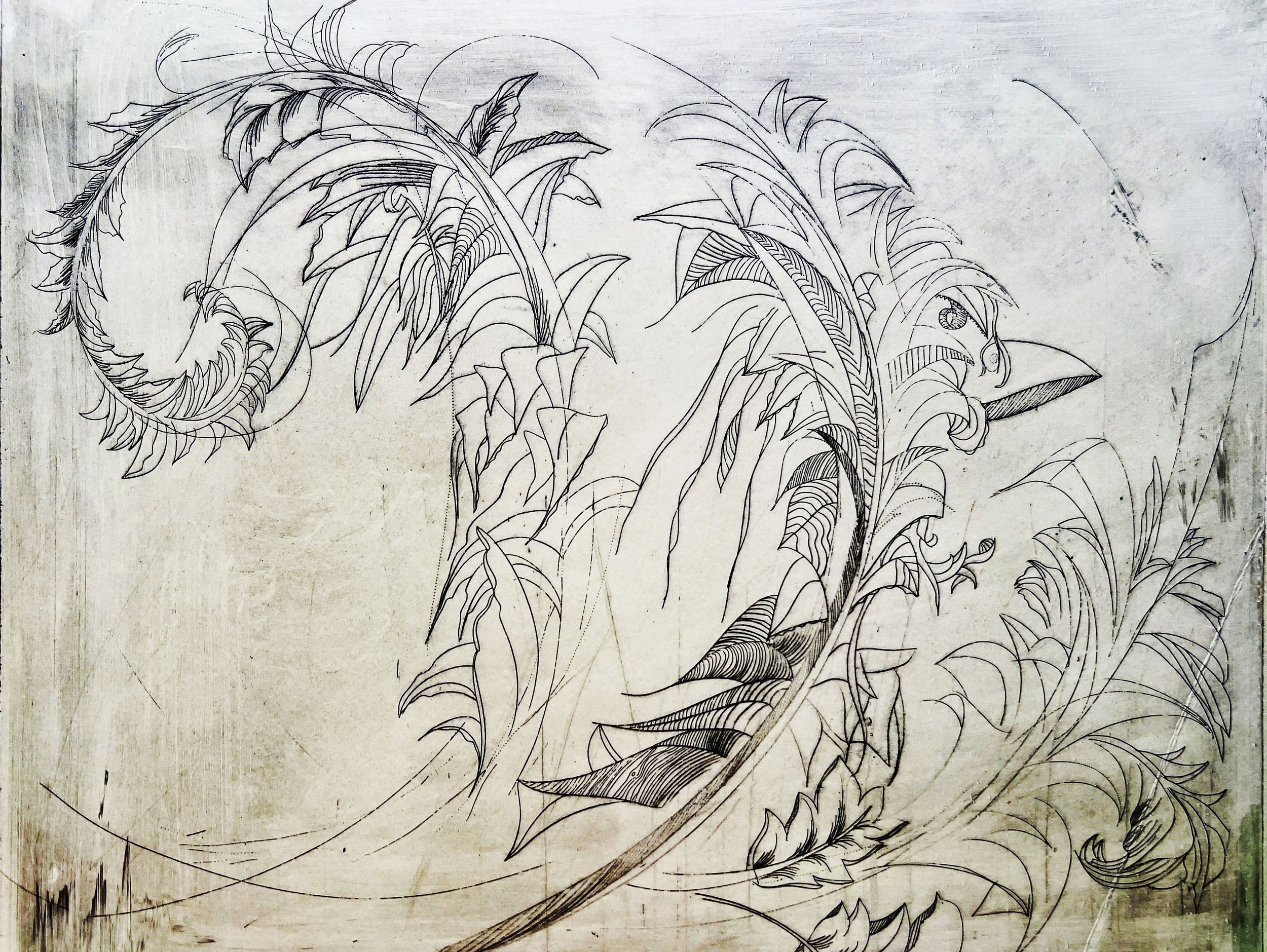 wavefolia copy.jpg