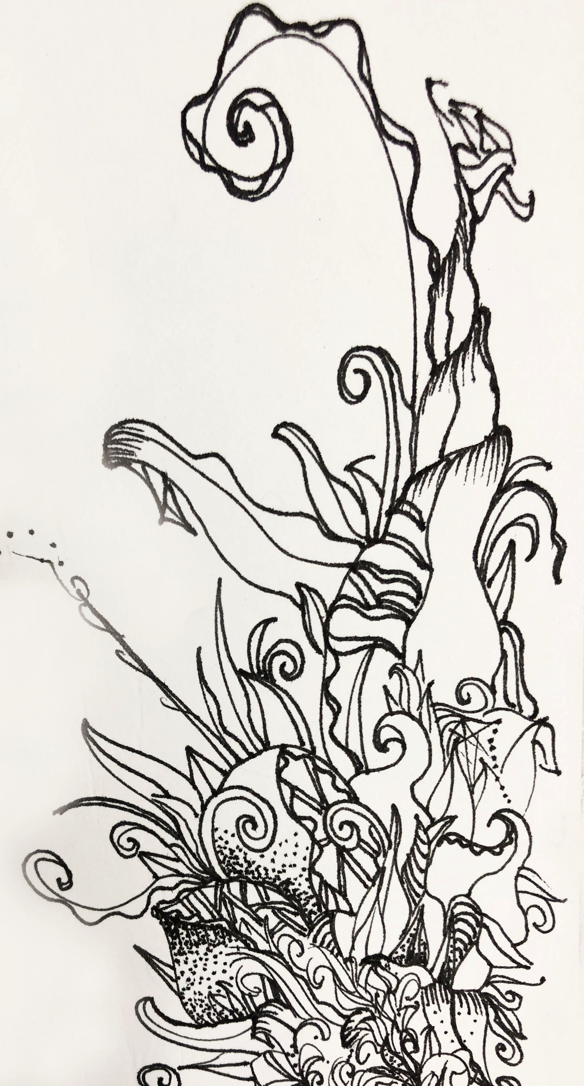 reach copy 2.jpg