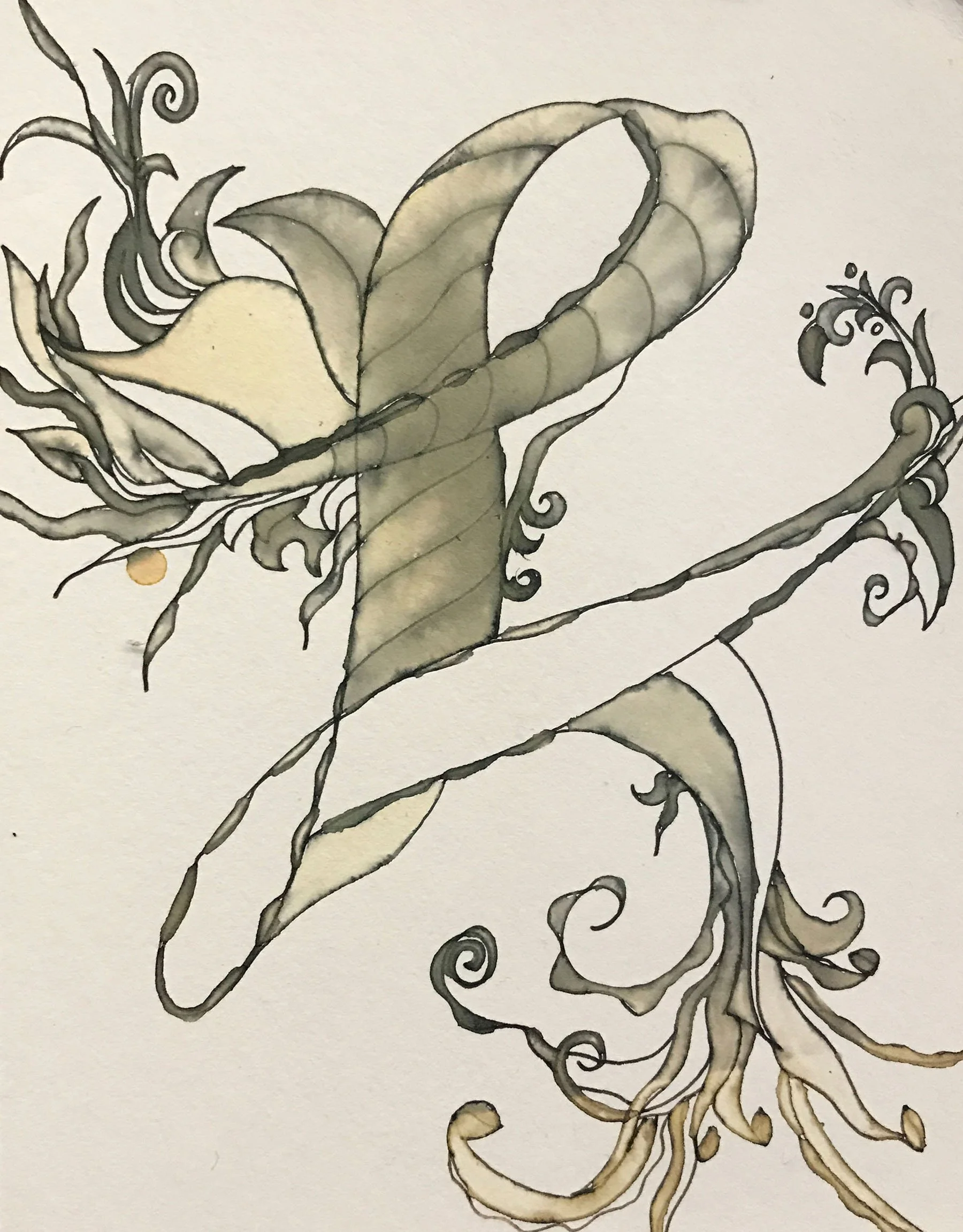 sresizedaffronL copy.jpg