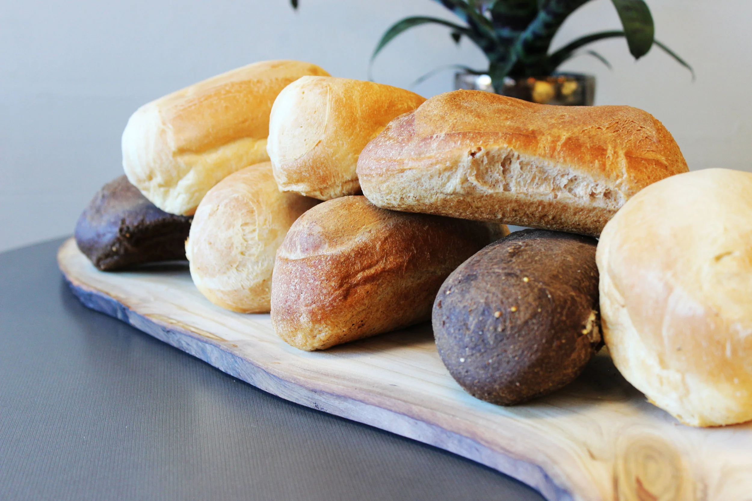 fresh bread 2 ed.jpg