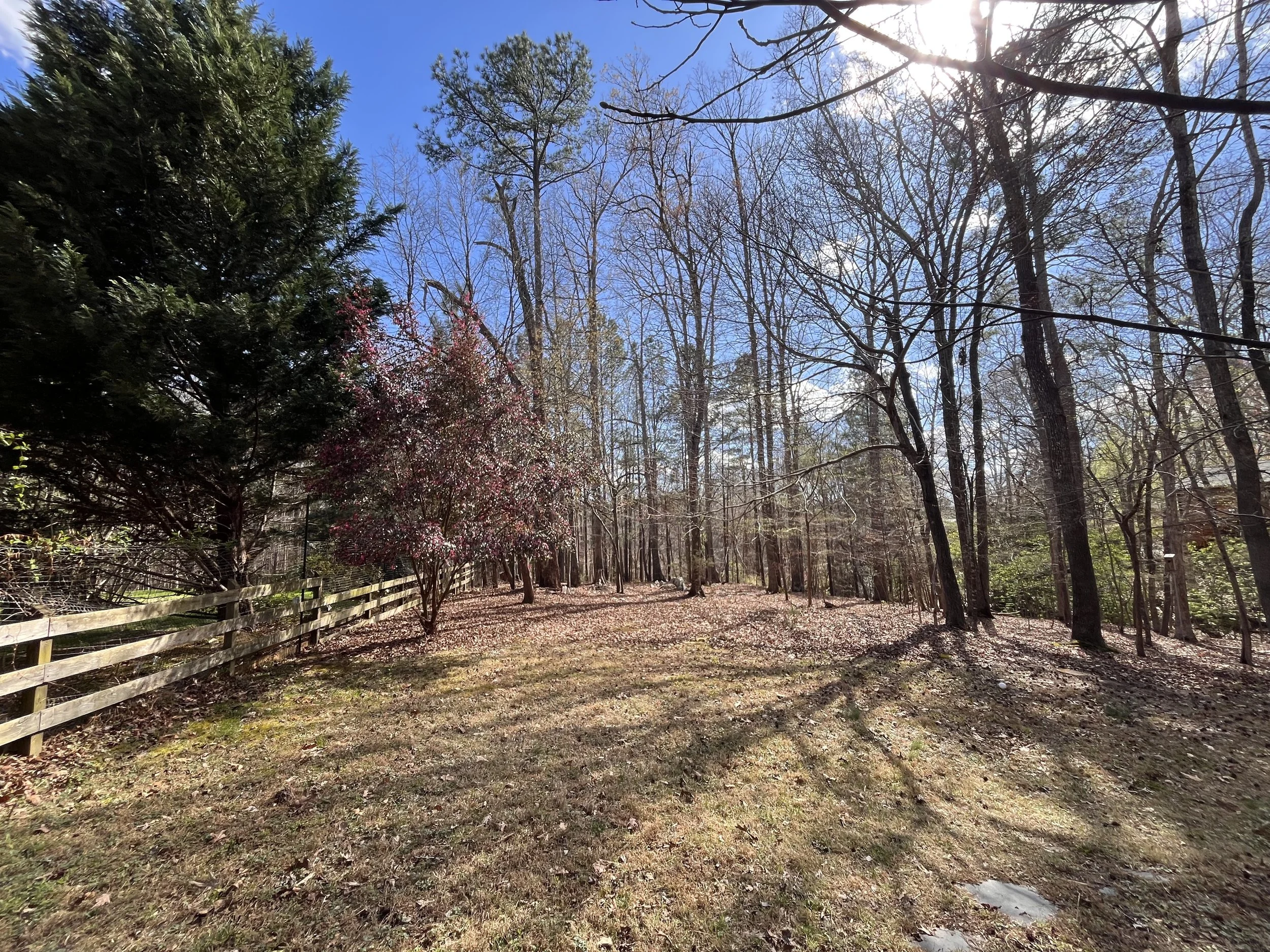 Back yard Hillock.jpg