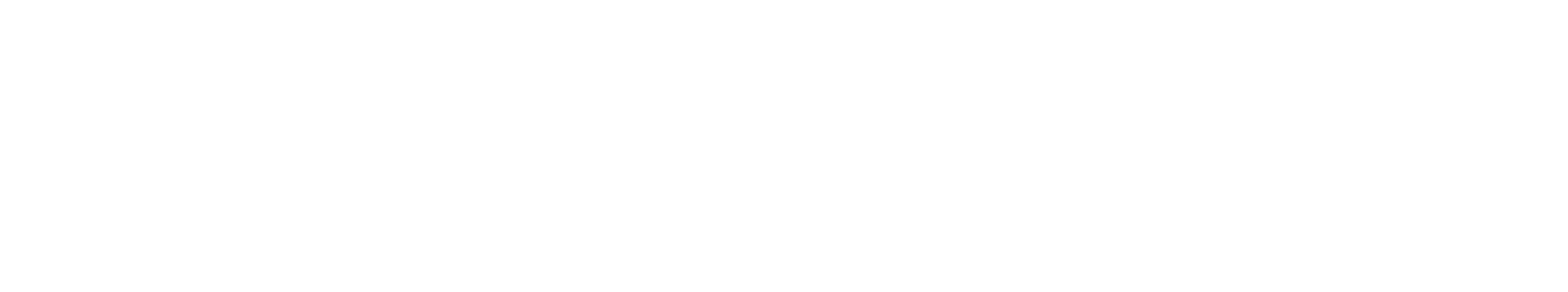nslogo.png