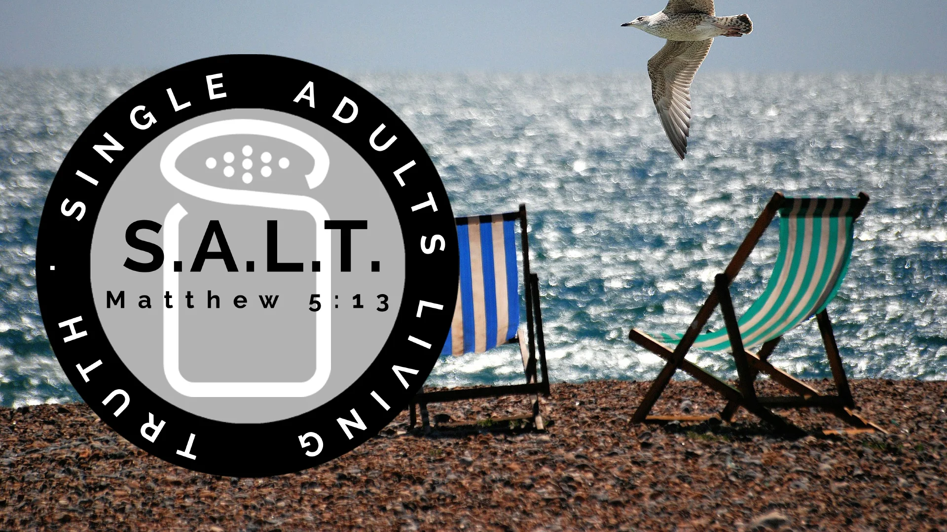 S.A.L.T. Beach Event