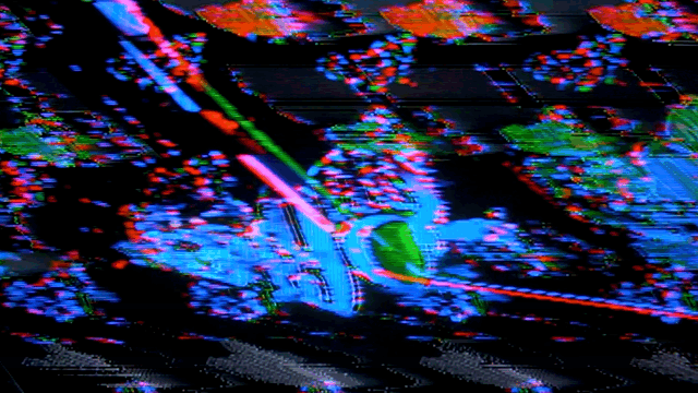 UNCC - LOGOS - GIF  2.gif