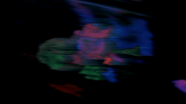 UNCC - LOGOS - GIF  7.gif