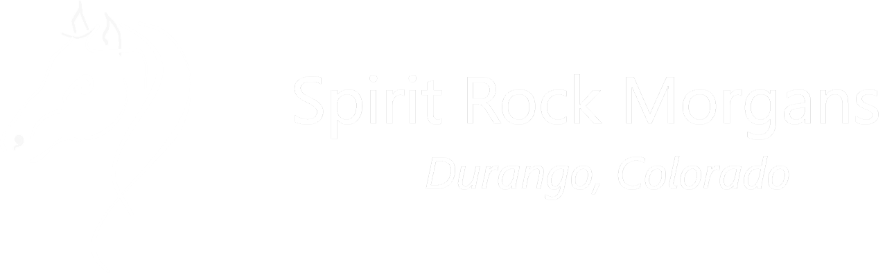 The Spirit Rock Morgans