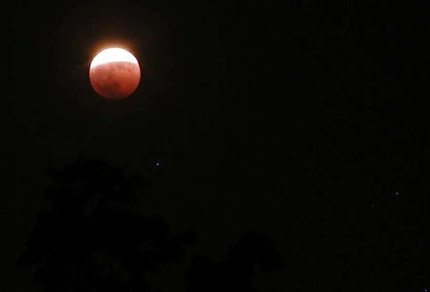 eclipse04.jpg - "Eclipse"