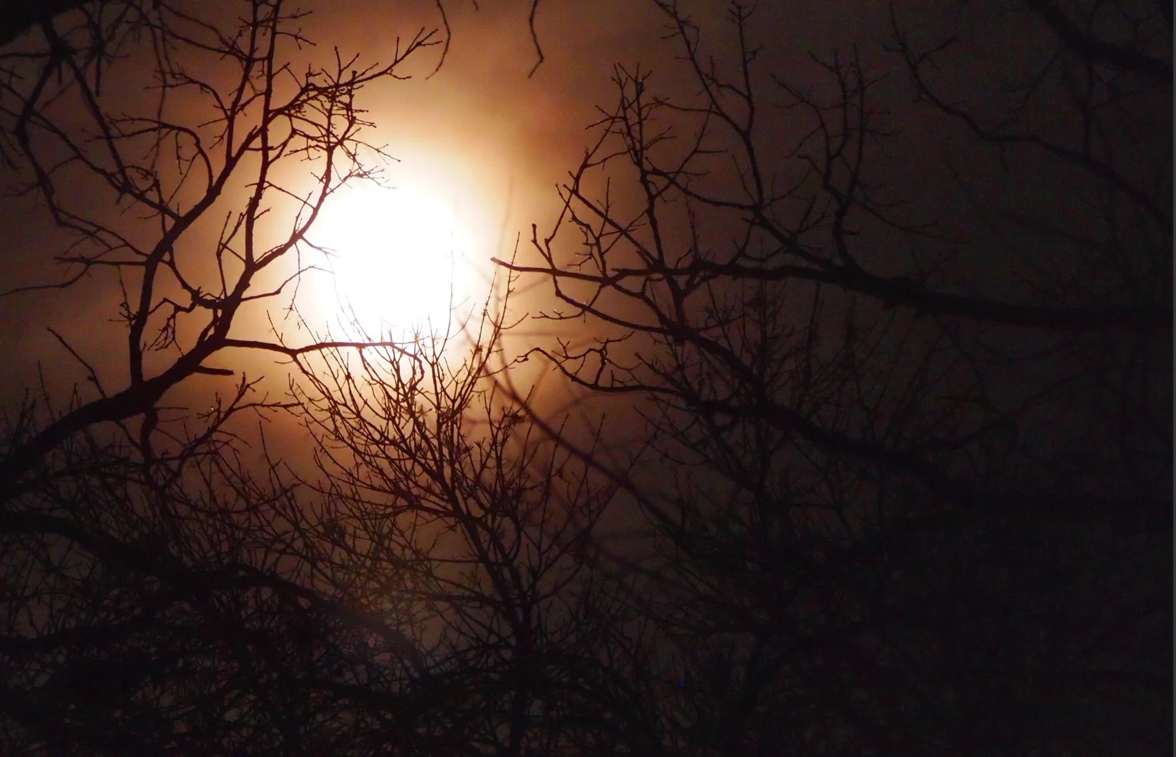 P3161994 - Red Moon