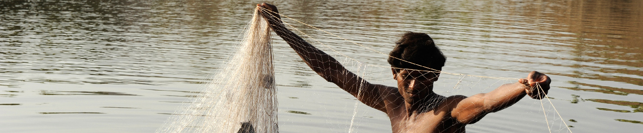 fishhead.jpg