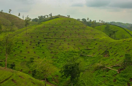 land4.jpg